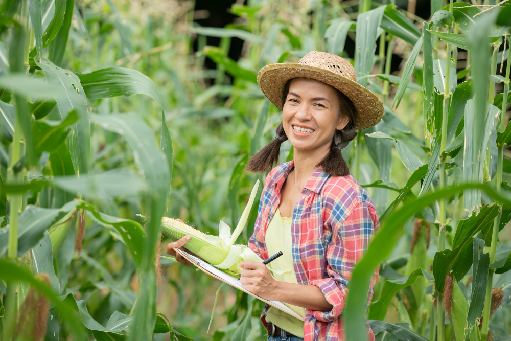 Você já sabe o que é Engenharia Agrícola?