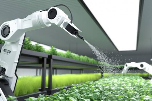 O que é robótica? Saiba para o que ela serve