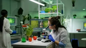 Duas mulheres trabalham num laboratório, elas estão observando plantas, uma está olhando em um microscópio.