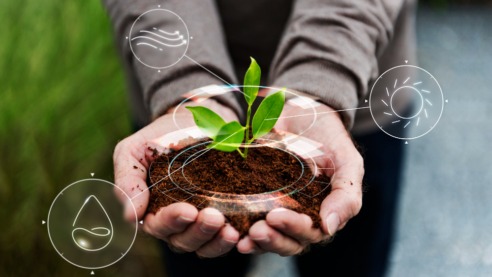 Pessoa segura muda de planta nas mãos com símbolos de desenvolvimento e tecnologia desenhados ao redor