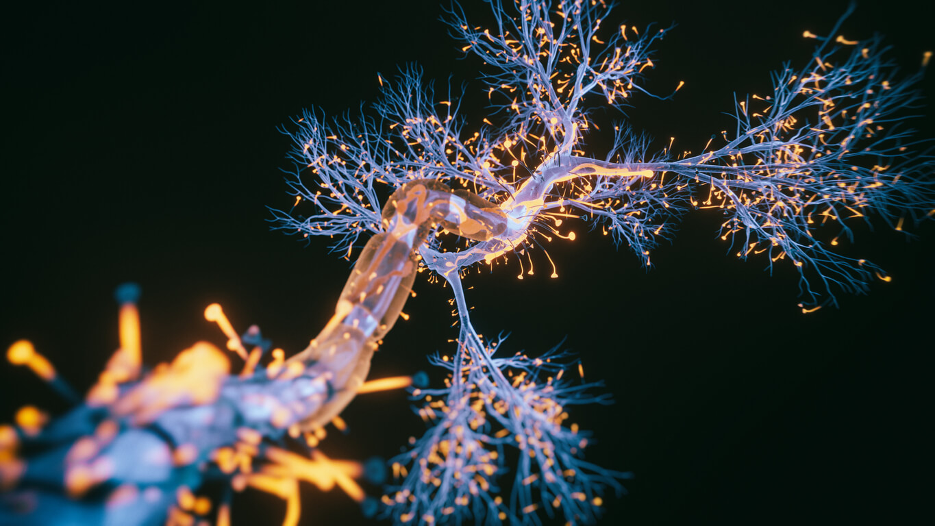 Neuroplasticidade: como as atividades aeróbicas ajudam os neurônios